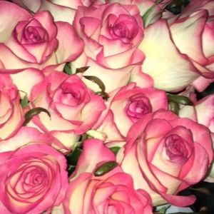 Meet your Posher, Sierra